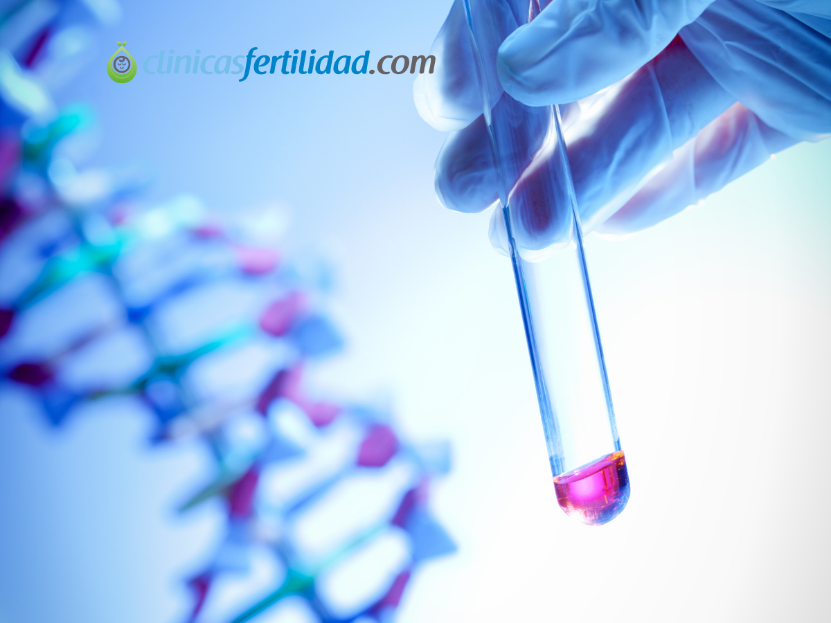 ¿Qué es el Test Genético Preimplantacional (PGT)? Guía Completa